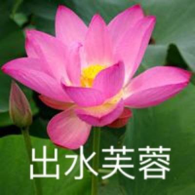 史上最囧游戏4安卓破解版下载